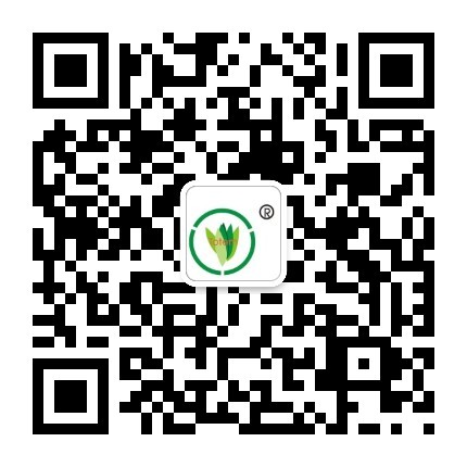 &#21338;&#40060;&#32593;&#39029;&#29256;&#30331;&#20837;&#30028;&#38754;&#45;&#21338;&#40060;&#40;&#20013;&#22269;&#41;