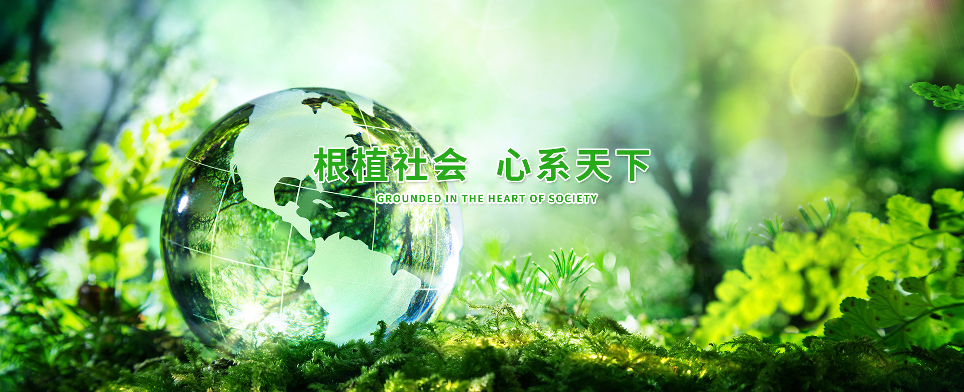 &#21338;&#40060;&#32593;&#39029;&#29256;&#30331;&#20837;&#30028;&#38754;&#45;&#21338;&#40060;&#40;&#20013;&#22269;&#41;